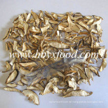 Quality Assurance Boletus Mushroom Slice